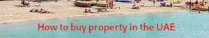how-to-buy-property-in-the-uae
